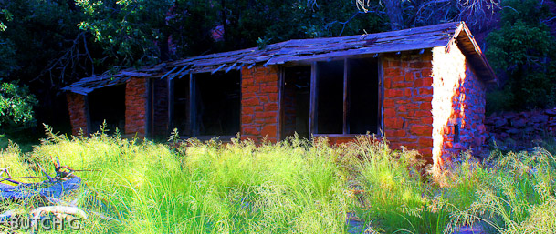 Chicken Coop